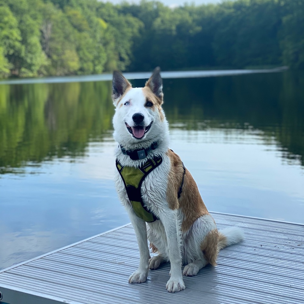 Meet your Posher, Zoe